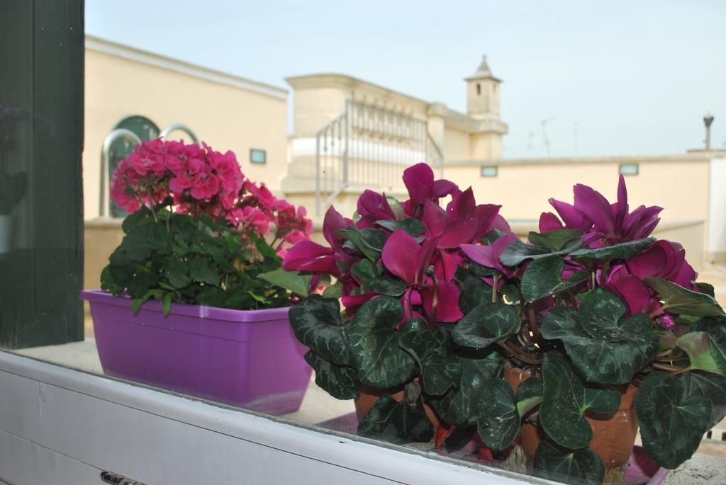 Palazzo Sottile Meninni - Classic Experience